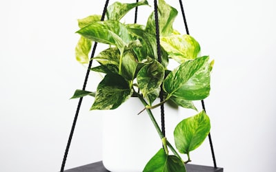 英超联赛曼市德比激烈拼抢场景